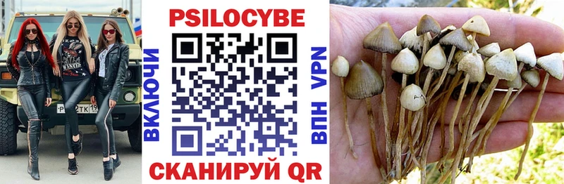 как найти наркотики  omg вход  Псилоцибиновые грибы ЛСД  Вяземский 